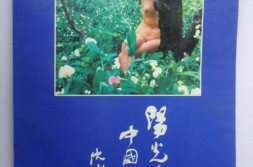 阳光下的中国人体,阳光下的中国人体摄影艺术