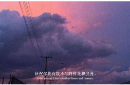 很罕见又很好看背景图,罕见绝色背景图赏析”