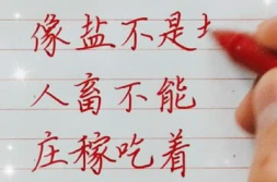 打一物品的谜语及答案,探寻日常物品的智慧谜题